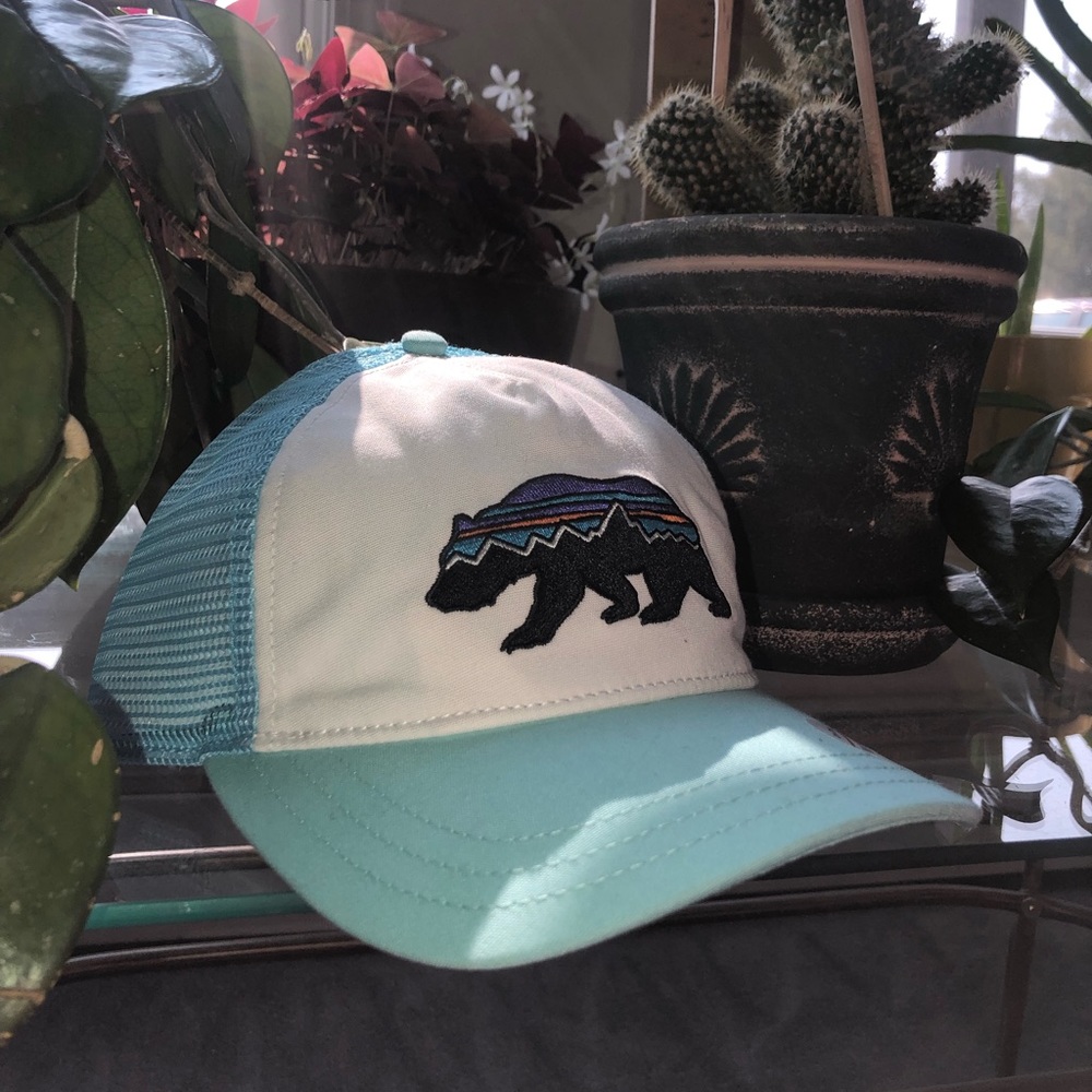 Patagonia Hat